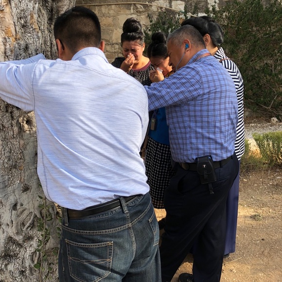 Meet your Posher, Theresa - Picture 6 of 16